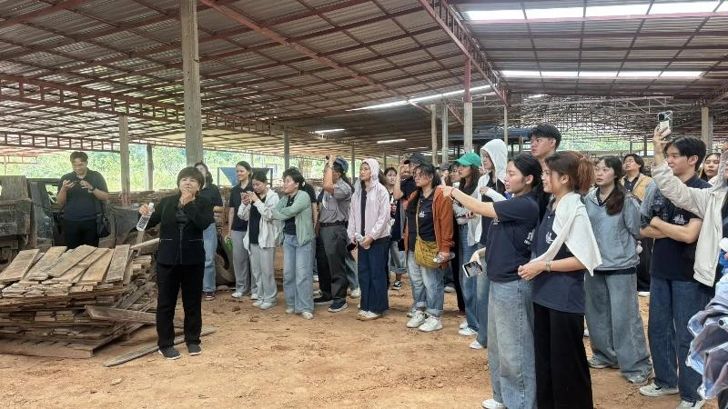 การผลิตอิฐมวลเบา